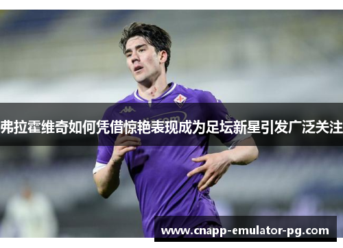 弗拉霍维奇如何凭借惊艳表现成为足坛新星引发广泛关注